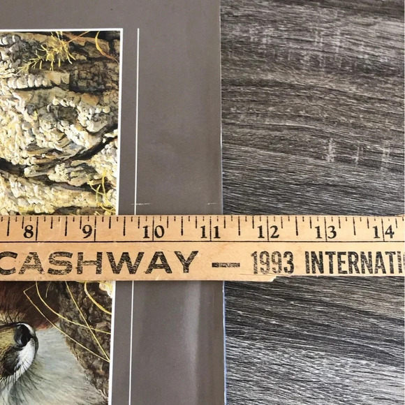 The Art of Robert  Bateman - Picture 12 of 12